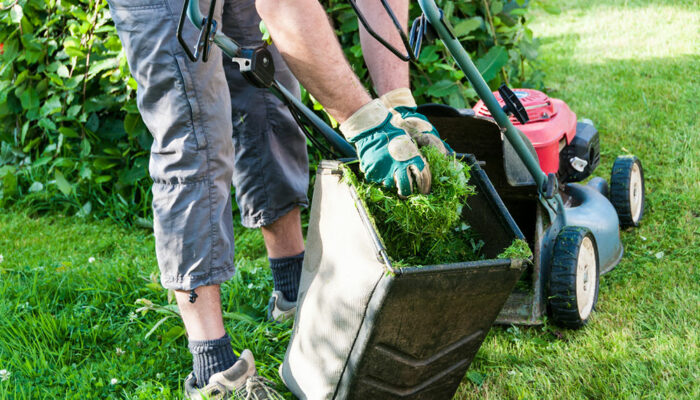 4 best lawn care software for your business