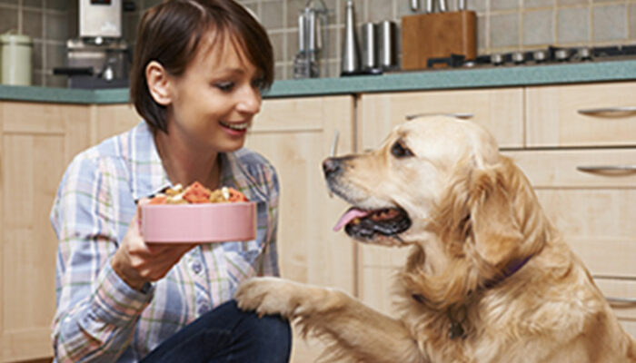 4 things to remember while shopping for dog food