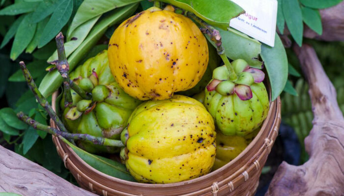 7 Profound Side Effects Of Garcinia Cambogia