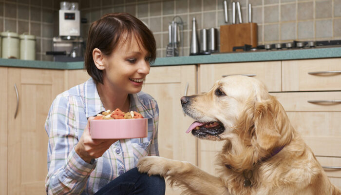 7 healthy dog food brands for your beloved pet