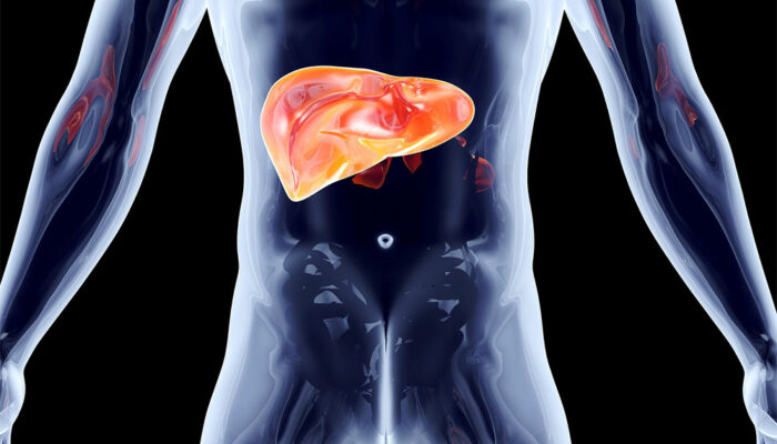 8 lesser-known facts about the liver