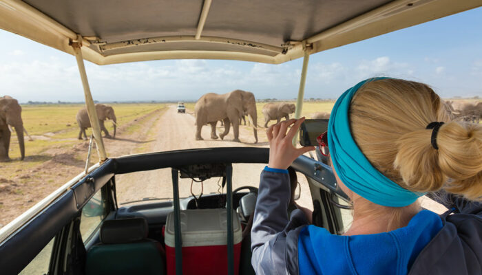 3 African safaris that will offer the best adventure