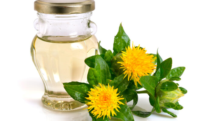 3 Significant Things You Must Know About Cla Safflower Oil