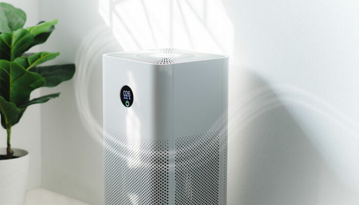 3 best-selling Molekule air purifiers