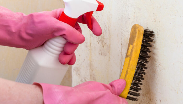 3 natural ways to remove mold