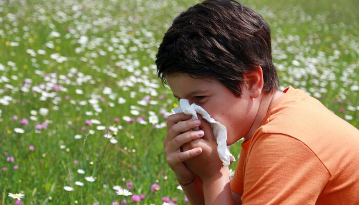 A Guide to Pollen Allergies