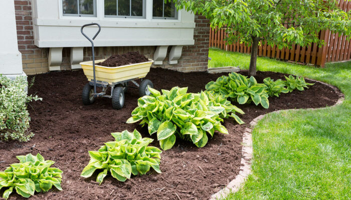 Advantages of buying rubber mulch in bulk