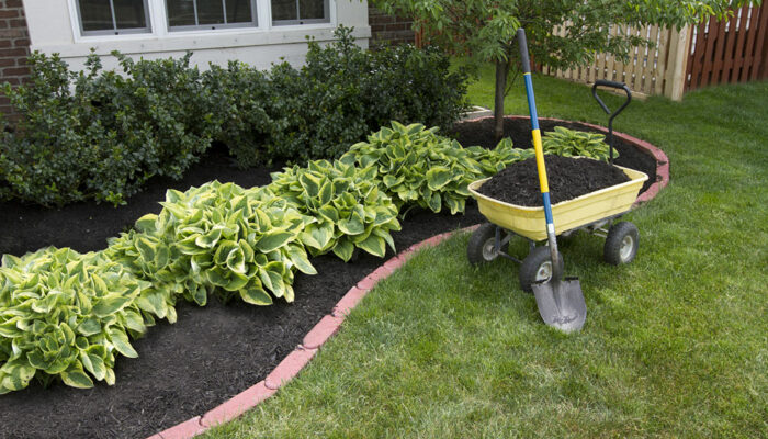 Advantages of rubber mulch