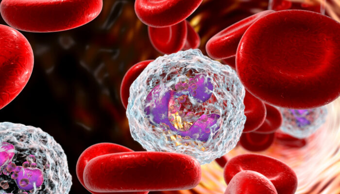 All About Neutrophils In The Human Body