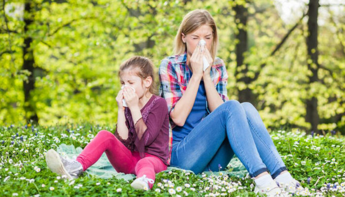 All You Need to Know about Pollen Allergy