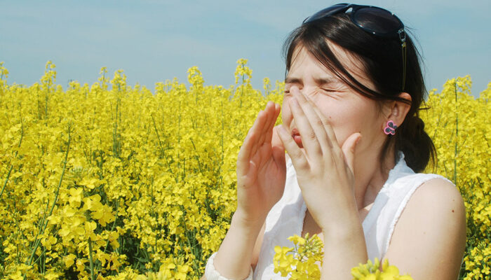 All You Need to Know about Pollen Allergies