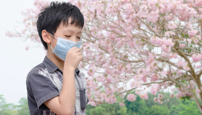 All You Need to Know about Signs of Pollen Allergies