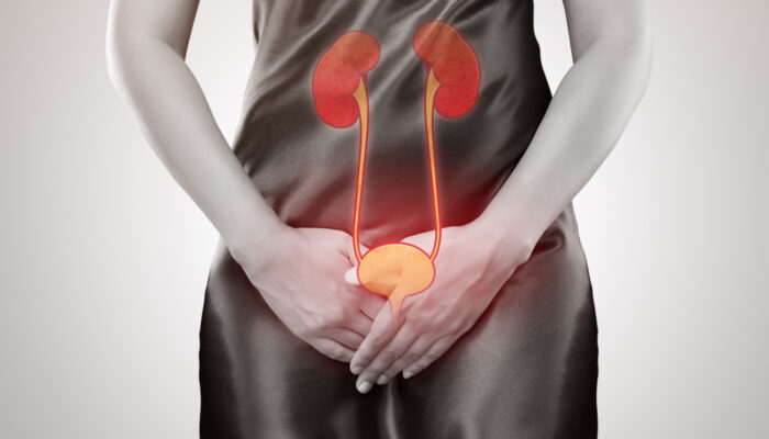 An Overview Of A Bladder Infection Causes, Symptoms, And Treatment