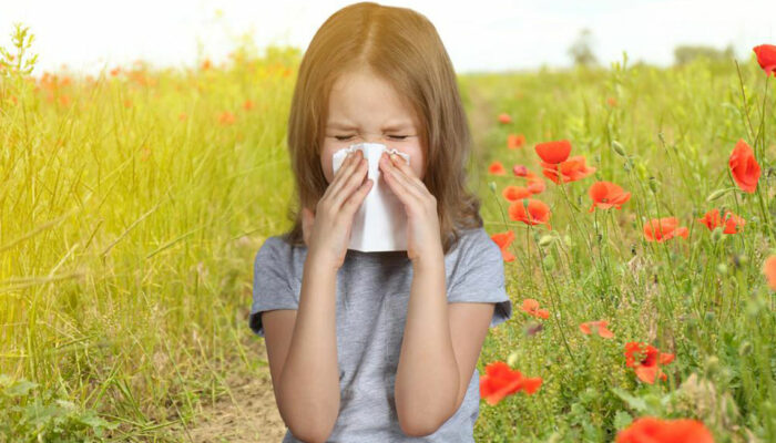 Best Seasonal Allergy Medicines to Keep Allergies at Bay