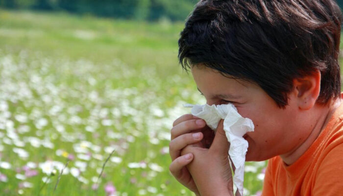 Causes and Precautionary Measures for Watery Eyes from Allergies