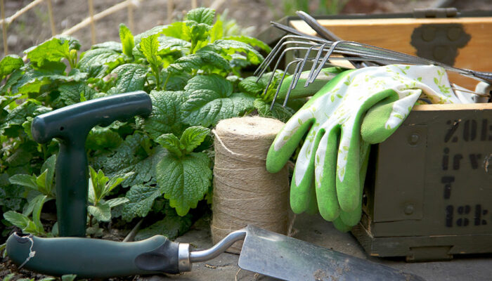 Create a beautiful garden with the right tools and accessories