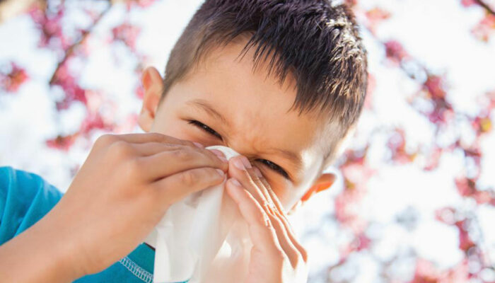 Everything You Need to Know about Mold Allergies