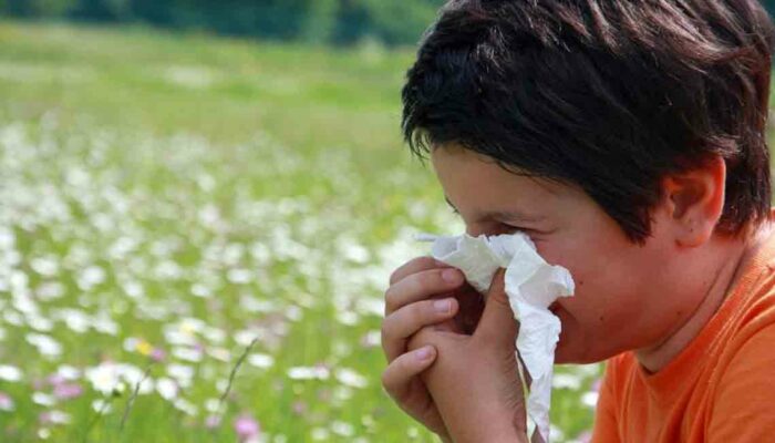 Everything You Need to Know about Pollen Count