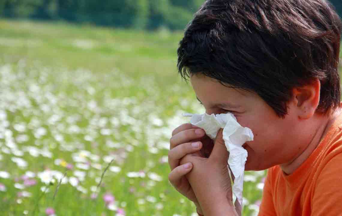 Everything You Need to Know about Pollen Count