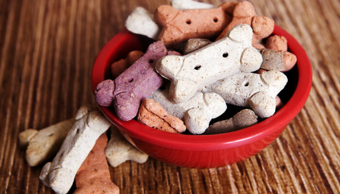 Factors to consider while picking healthy dog food