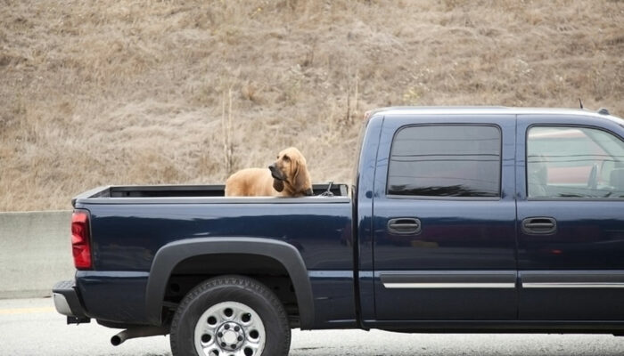 Features of the Toyota Tundra that make it a popular choice