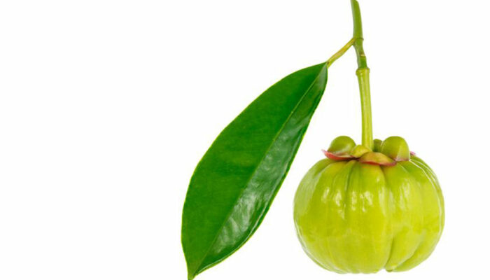 Garcinia &#8211; A simple fruit with numerous health benefits