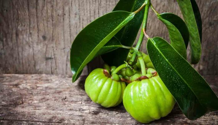 Garcinia &#8211; Its Proposed Benefits and Side Effects