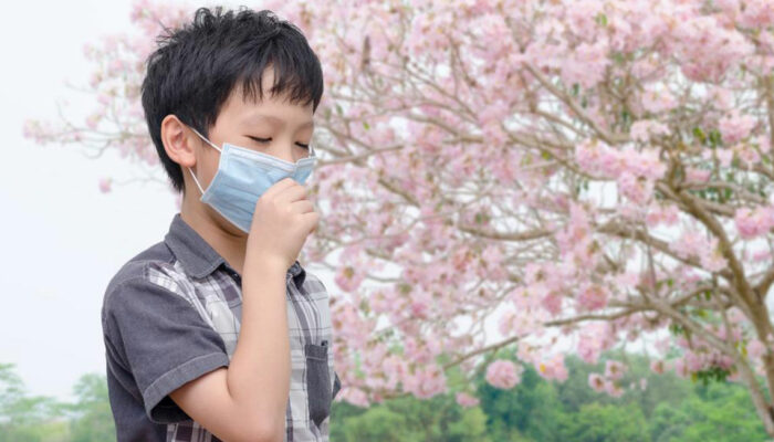 Get Relief from Pollen Allergy Using These Effective Tips