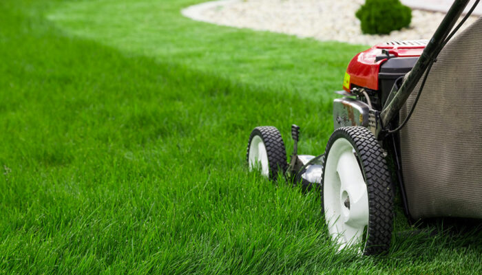 Get lawn mower parts with ease