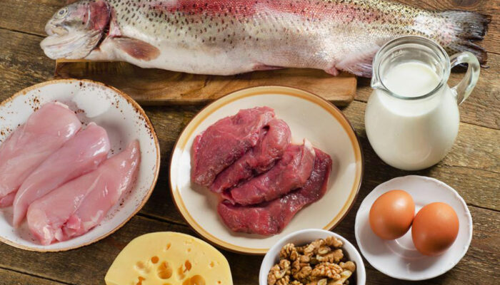 High-protein foods that must be included in your diet