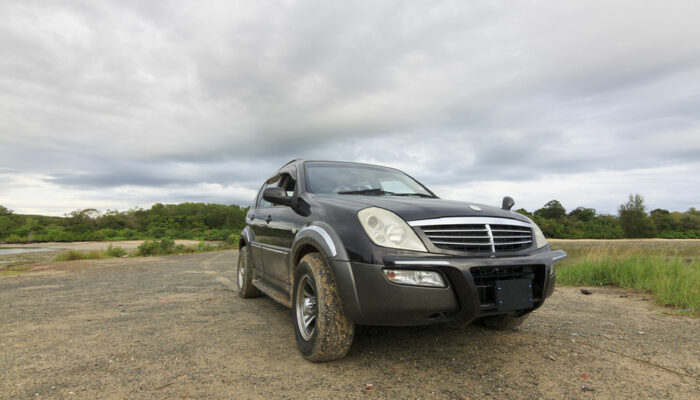 Salient features of the Lincoln MKX