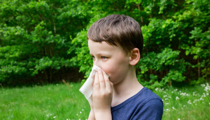 Simple Home Remedies for Pollen Allergy