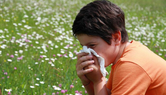 Simple Steps to Understand Symptoms and Treatments of Mold Allergies