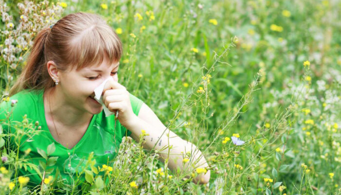 Simple and Easy Remedies for Seasonal Allergies