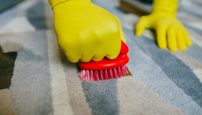 The Best Carpet Stain Removers For Your Home And Office