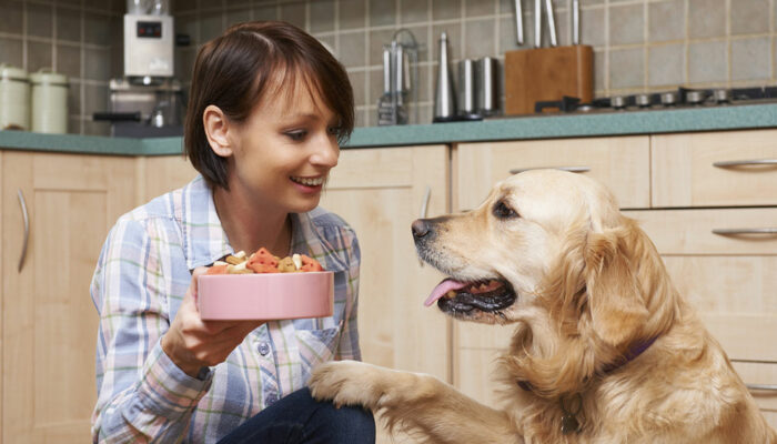 The benefits of wet dog food and how to choose the right one