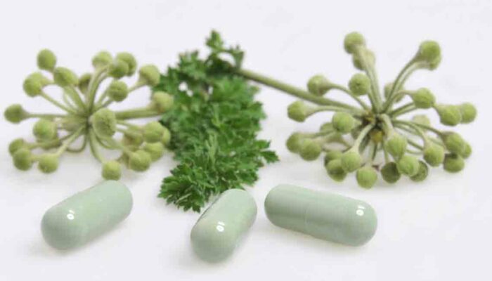 Things to Know While Choosing Natural Thyroid Supplements