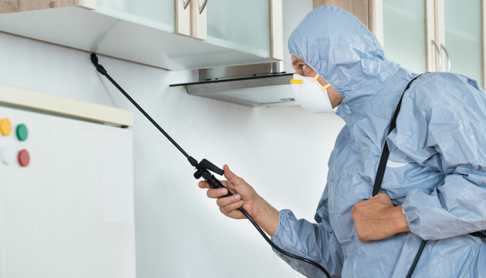 Tips for choosing and use of chemicals for pest control