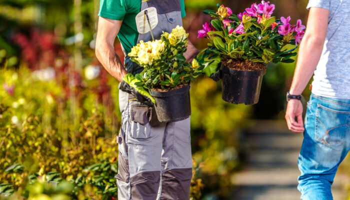 Tips on how to make the most of a garden sale