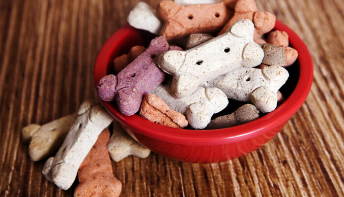 Top 5 best dry pet food brands for dogs