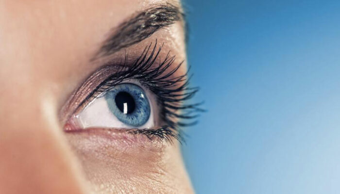 Top 10 Supplements for Eye Health