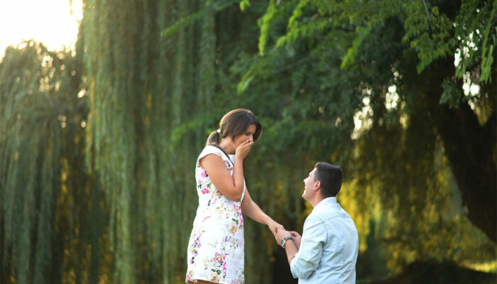 Top 3 classic proposal ideas to try