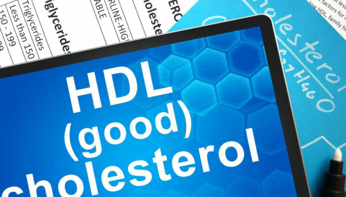 Understanding HDL Cholesterol