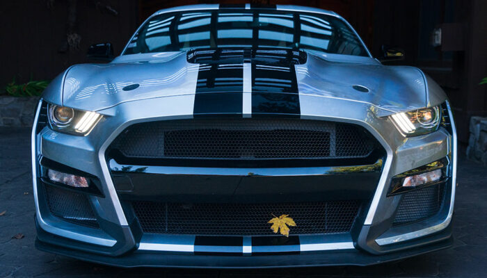 6 Reasons Why the Ford Shelby GT500 is an Iconic Car