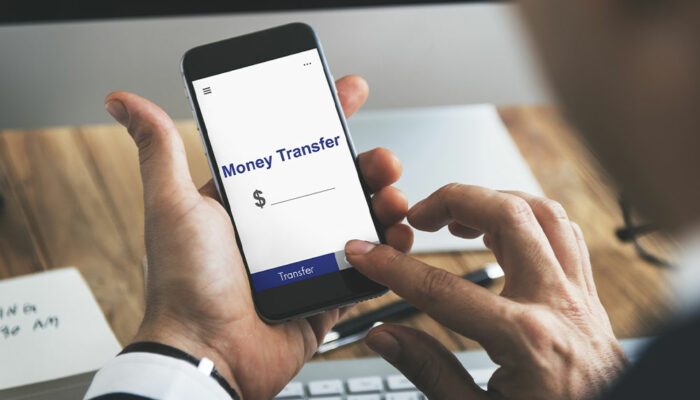 Advantages and Disadvantages of Online Money Transfers