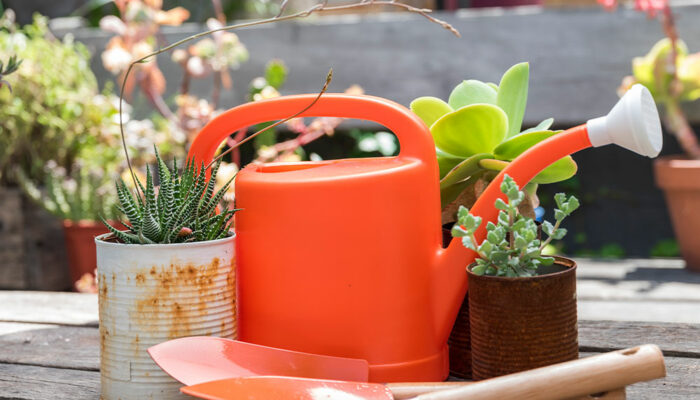 6 Exciting Cyber Monday Deals on Patio and Garden Equipment