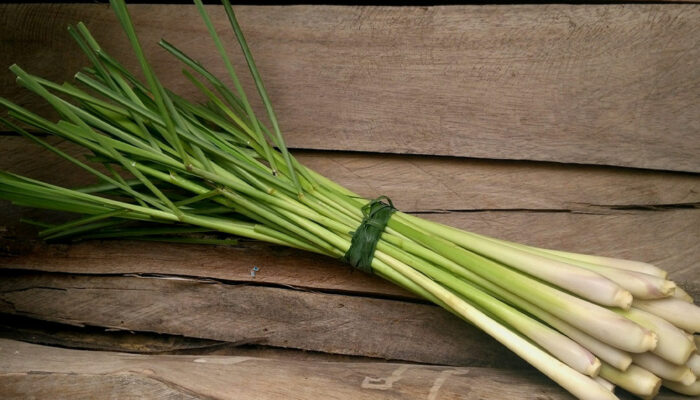 17 Powerful Health Benefits of Lemongrass