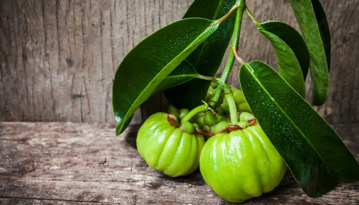 A Brief Overview of Garcinia Cambogia