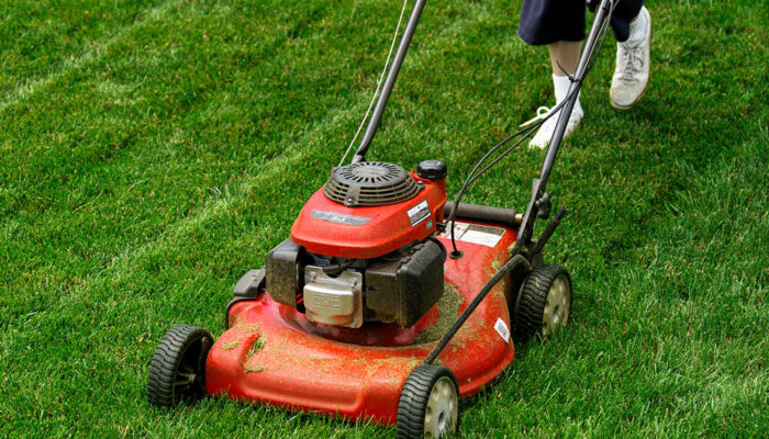 Best Lawn Mower Deals to Check Out this Cyber Monday