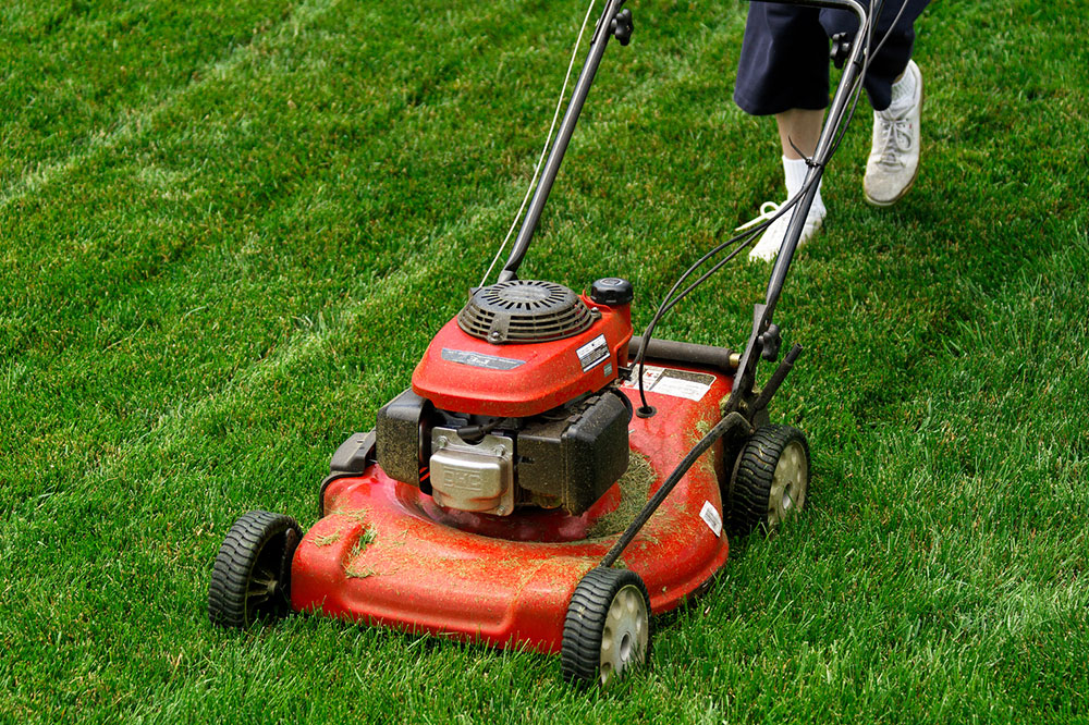 Best Lawn Mower Deals to Check Out this Cyber Monday